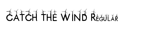 CATCH THE WIND