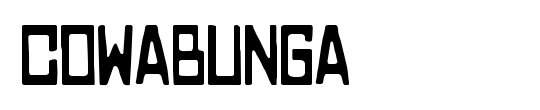 COWABUNGA