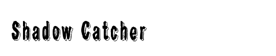 Shadow Catcher