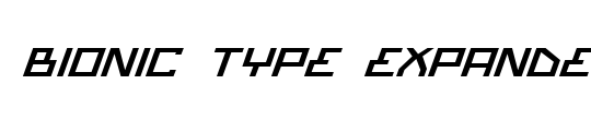 Bionic Type Expanded Italic