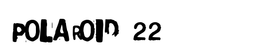 Polaroid 22