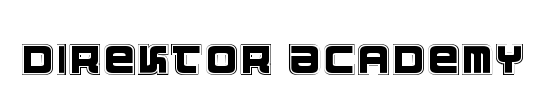 Direktor Academy