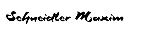 Schneidler Maxim