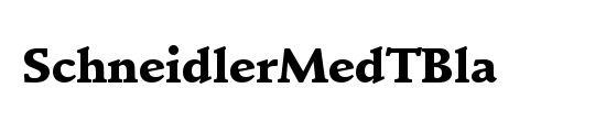 SchneidlerMedTBla