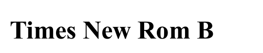 Times New Rom B