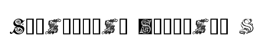 Ornamental Initials S