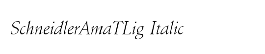 SchneidlerAmaTLig
