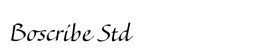 Boscribe Std