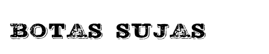 BOTAS SUJAS