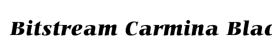 Bitstream Carmina