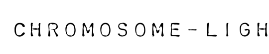 Chromosome
