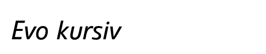 Evo BQ