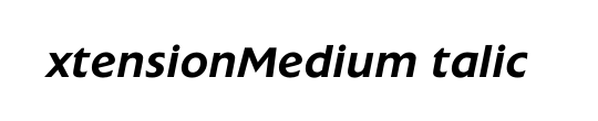 ExtensionMediumItalic