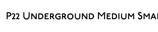 P22 Underground