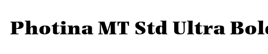 Photina MT Std