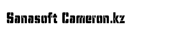 Sanasoft Cameron.kz