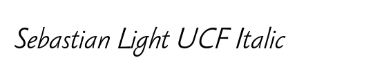 Sebastian Light UCF