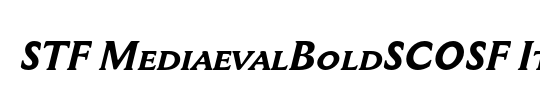 STF MediaevalBoldSCOSF