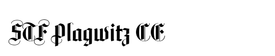 STF Plagwitz CE