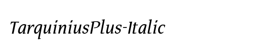 TarquiniusPlus