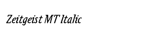 Zeitgeist MT