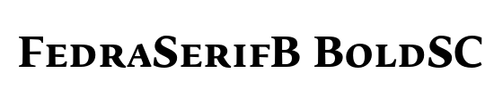 FedraSerifB