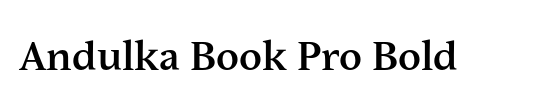 Andulka Book Pro