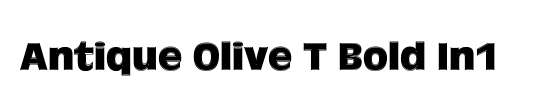 Antique Olive T In1