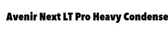 Avenir Next LT Pro