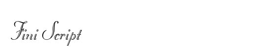 Fini Script