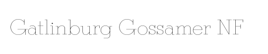 Gatlinburg Gossamer NF