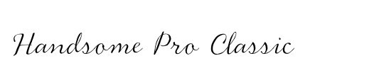 Handsome Pro