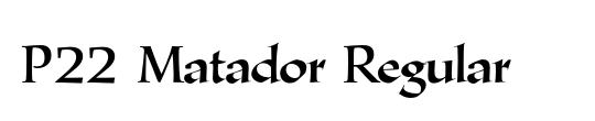 P22 Matador