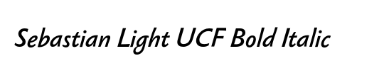 Sebastian Light UCF