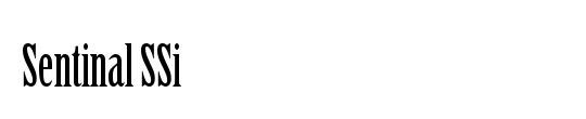 Sentinal SSi