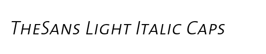 TheSans