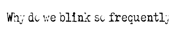 Why do we blink so frequently?