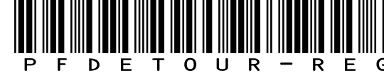 PFDetour