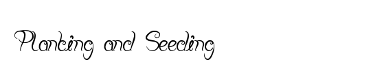 Planting and Seeding