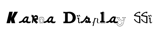 Karoa Display SSi