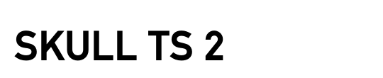 SKULL TS 2