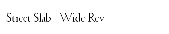 Street Slab - Wide Rev