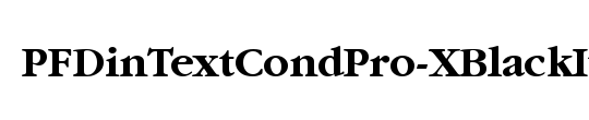 PF Din Text Cond Pro