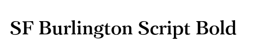 SF Burlington Script