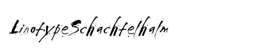 LTSchachtelhalm
