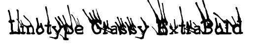 LinotypeGrassy ExtraBold