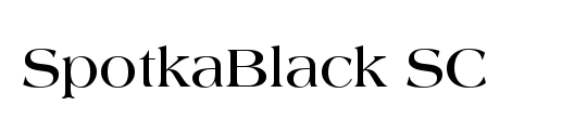 SpotkaBlack SC