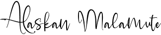 Alaskan malamute