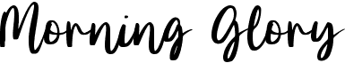 Morning Glory