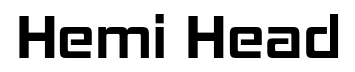 Hemi Head